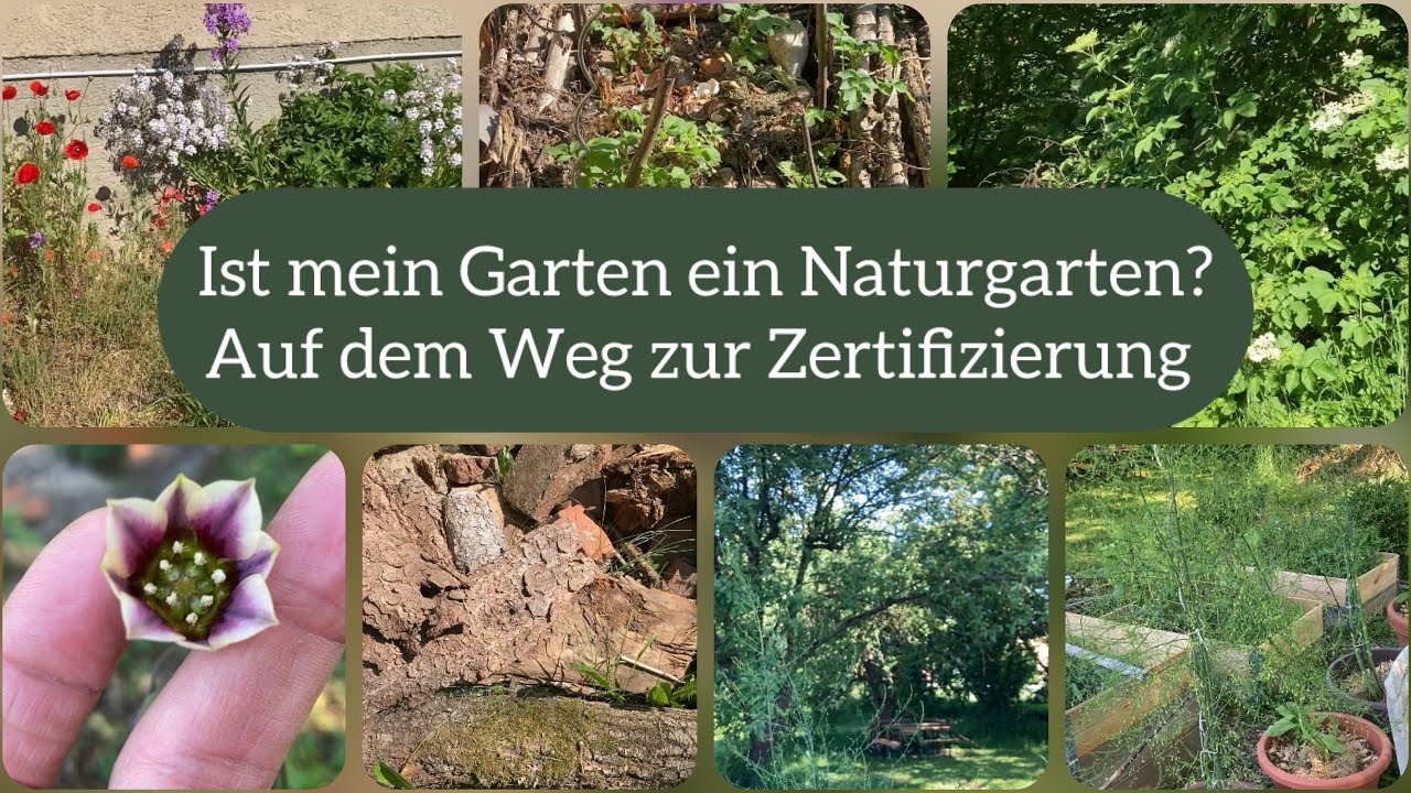 Ist mein Garten ein Naturgarten? Auf meinem Weg zur Zertifizierung