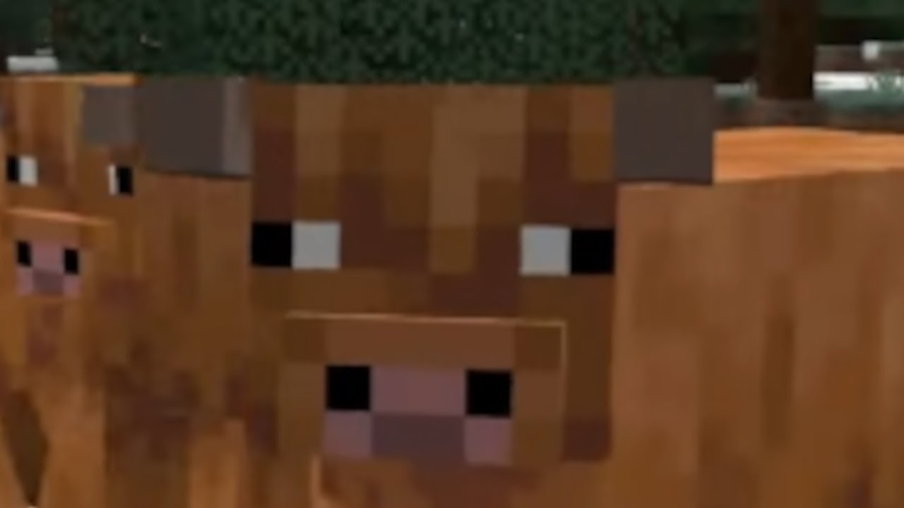Minecraft HARDCORE!!!!!