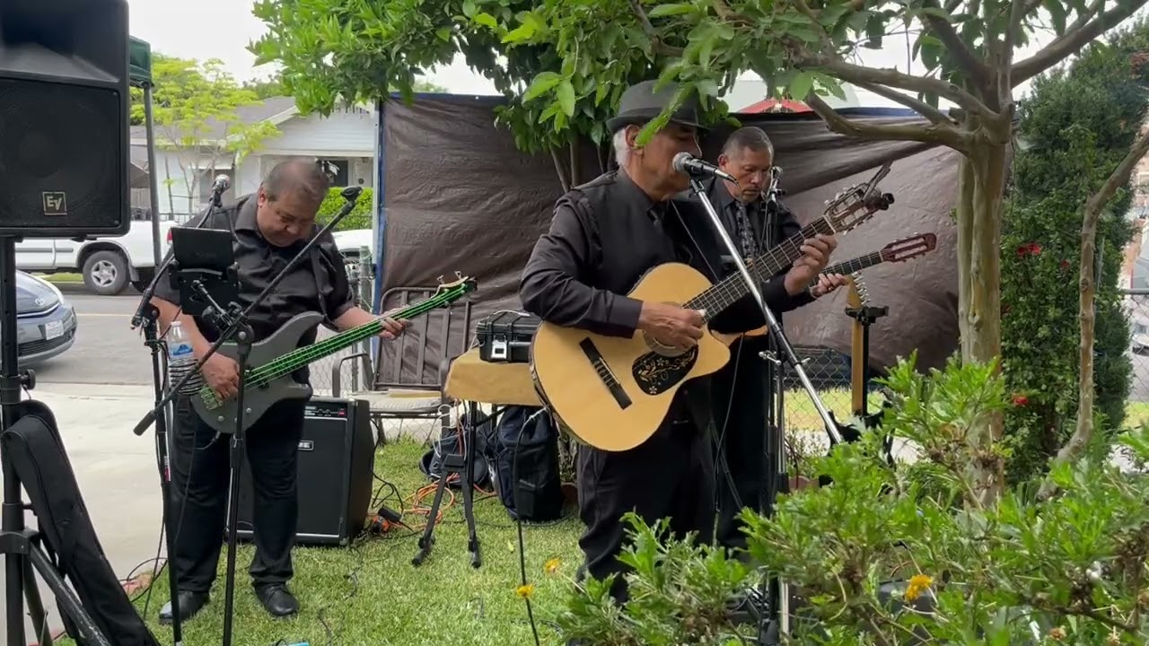 Trio Los Angeles performs 