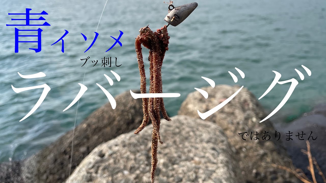 青イソメをジグヘッドに沢山ブッ刺してみたら 釣り歴20年にして初めての魚が！！ポン級！？