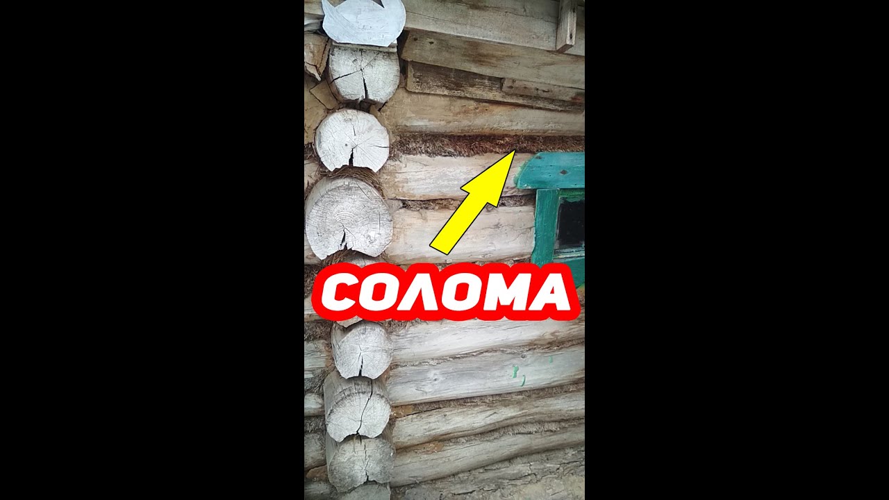 Бане из Липы уже 42 ГОДА!!! Проконопачено Соломой и Глиной #shorts