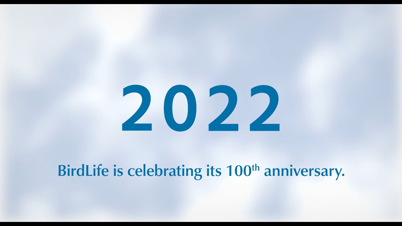 100 Years of BirdLife