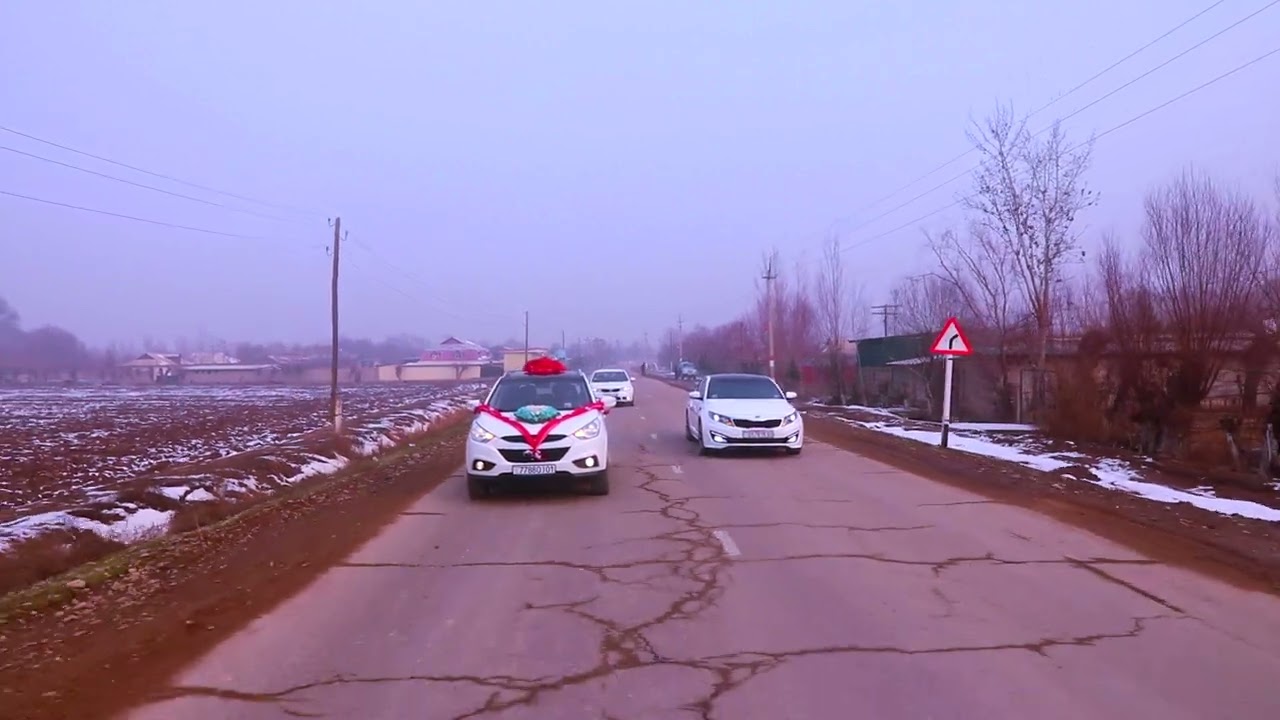 Туй 23.01.2023