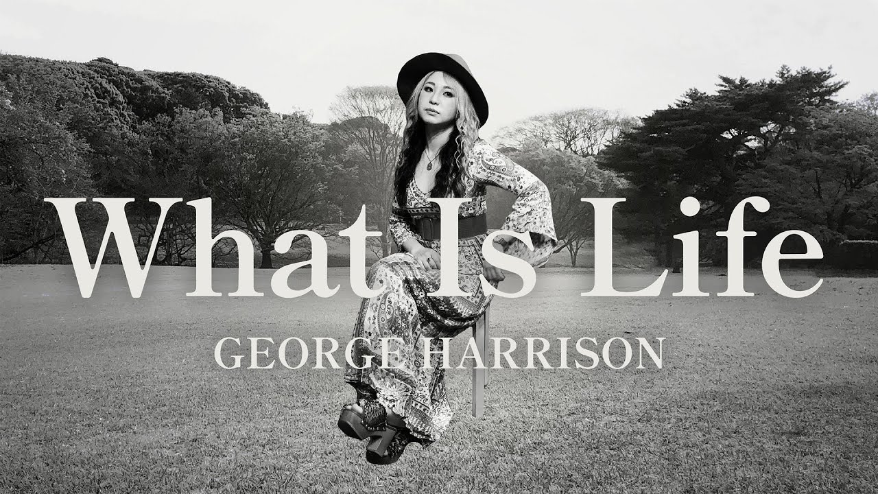 George Harrison - What Is Life (The Lady Shelters cover)