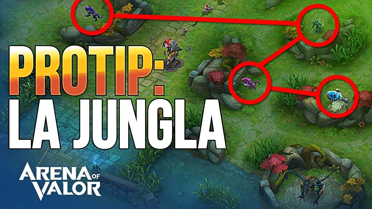 APRENDE A TIMEAR LA JUNGLA | Arena of Valor - Team Queso