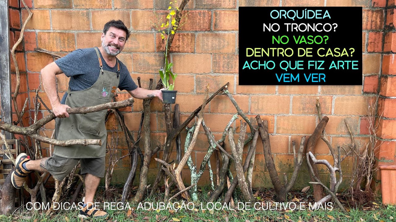 ORQUÍDEA no Tronco? No Vaso? Dentro de Casa? Fiz Arte, Vem Ver