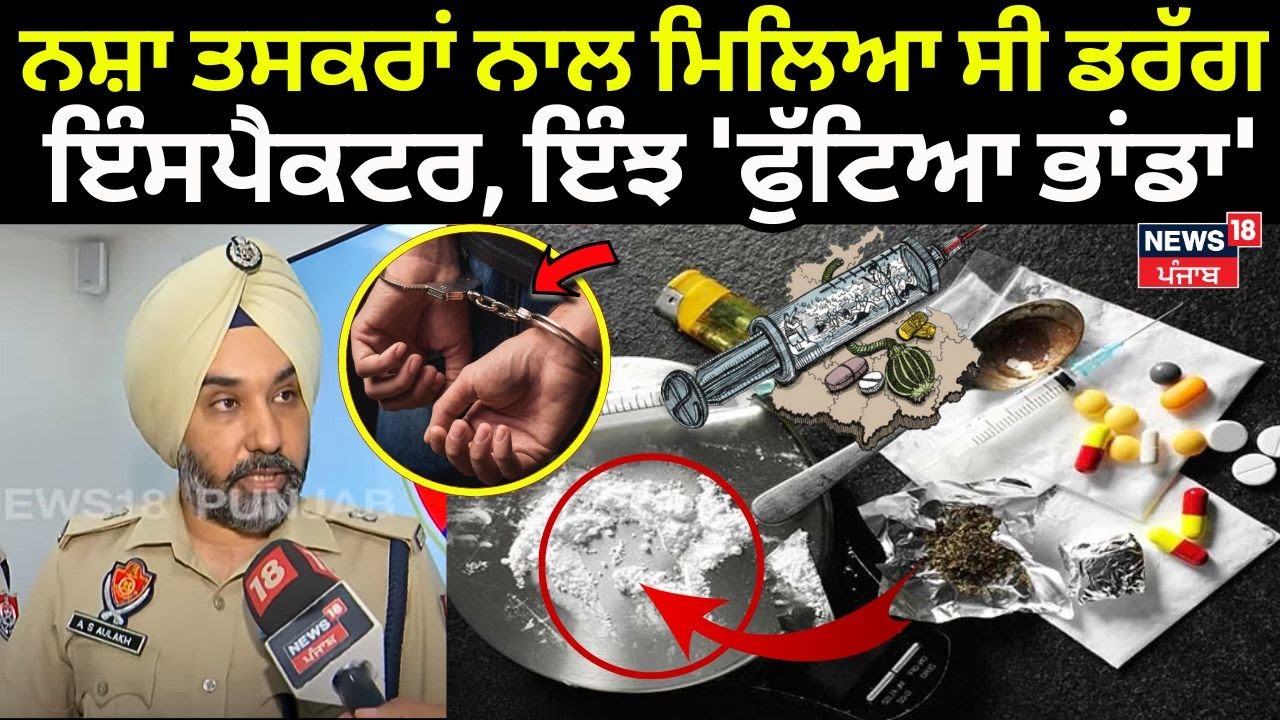 Mohali News | Drug Peddlers ਨਾਲ ਹੀ ਮਿਲਿਆ ਹੋਇਆ ਸੀ Drug Inspector, ਇੰਝ 'ਫੁੱਟਿਆ ਭਾਂਡਾ' | N18V