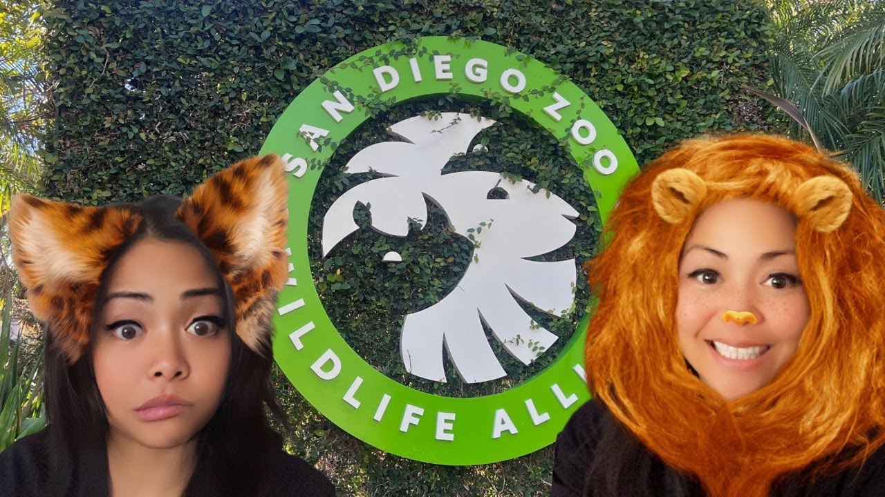 🔴【 GAIN LIFE at the SD ZOO 】#live #animals #zoo #travelblog 
