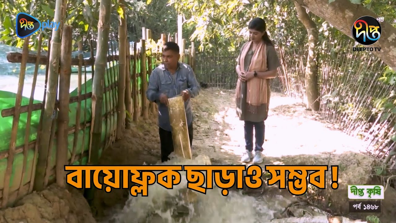 Deepto Krishi | বায়োফ্লক ছাড়া কম খরচে উচ্চমূল্যের মাছ চাষ পদ্ধতি | Biofloc Technology