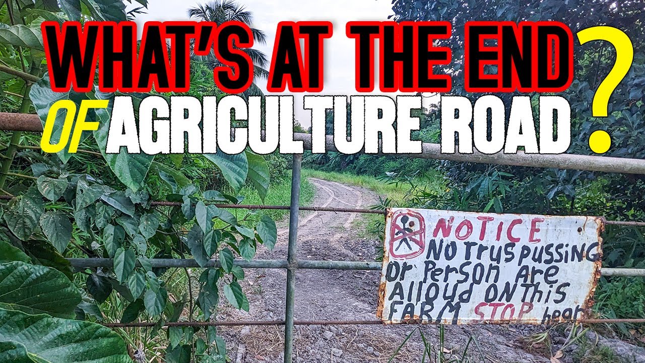 Have you ever seen this part of Mon Repos? | Exploring Guyana