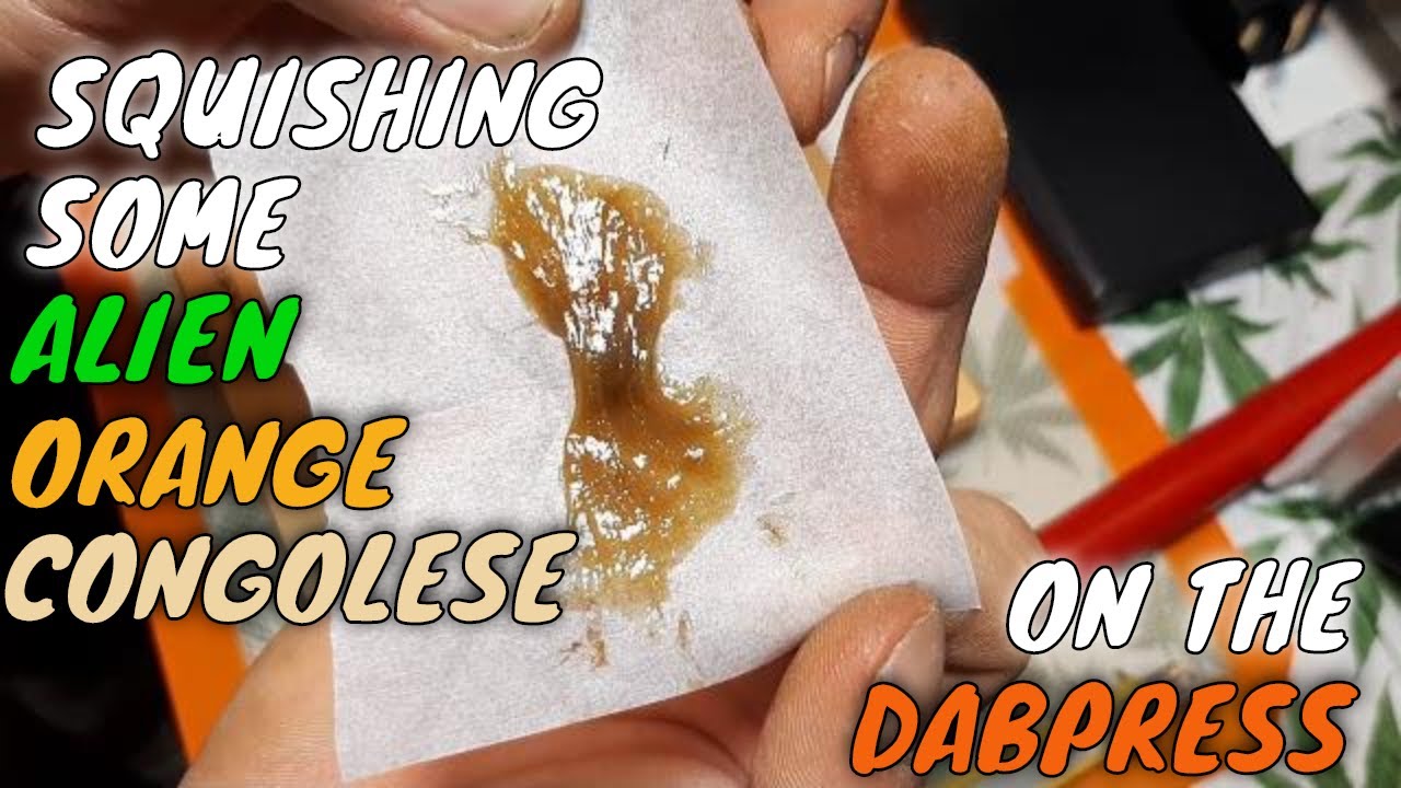 DABPRESS: Squishin some Fresh Alien Orange Congolese