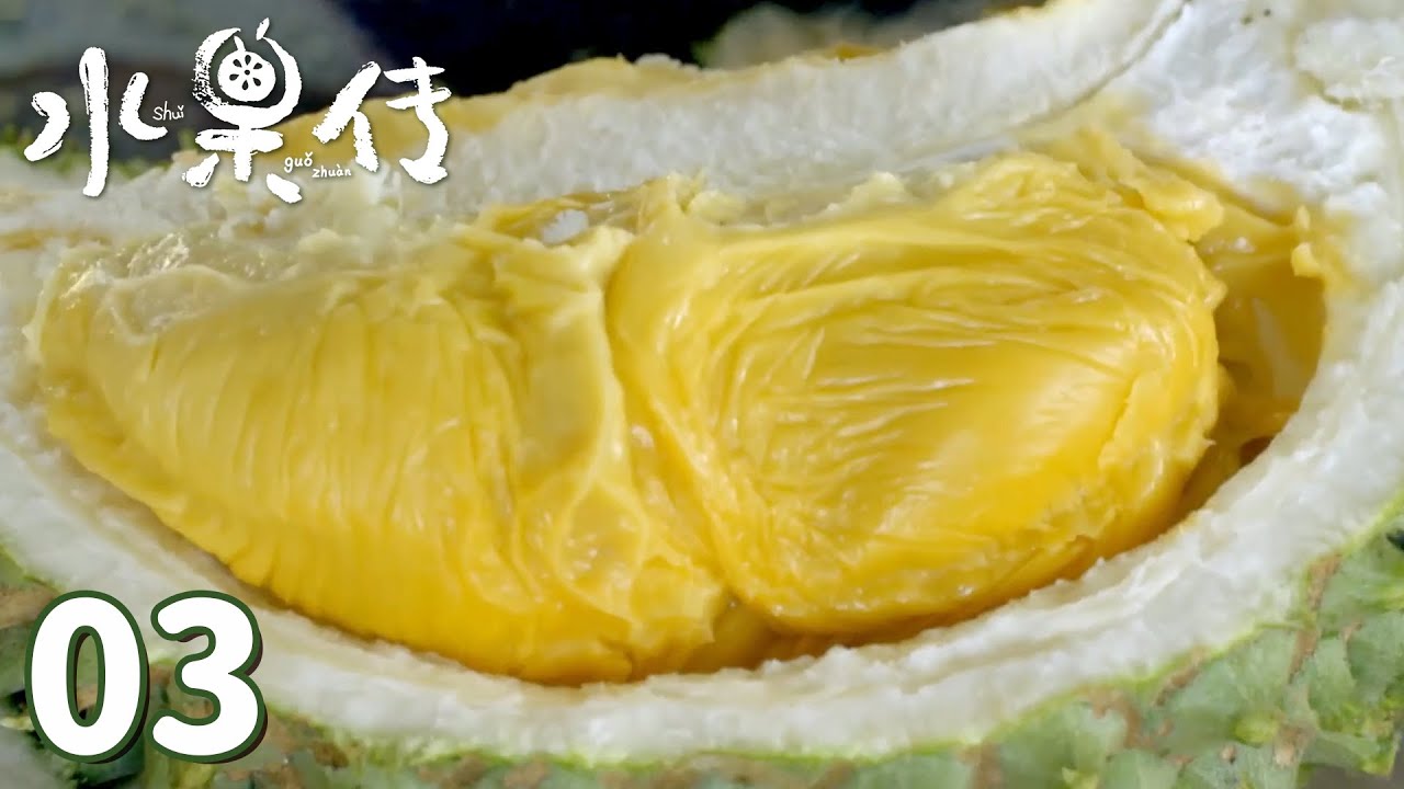 【水果传】第3集：滋味&mdash;&mdash;水果的千变万化是与世界的对话 | Legend of Fruit | 腾讯视频 - 纪录片