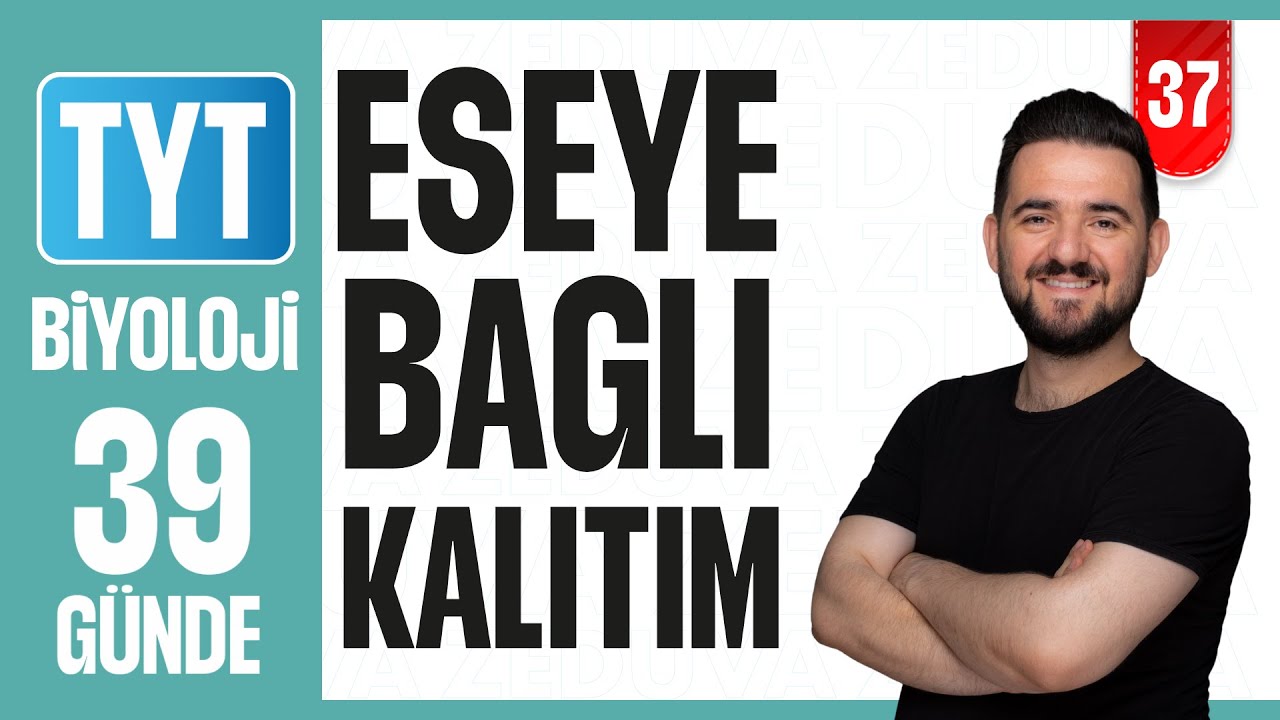 Eşeye Bağlı Kalıtım| 39 GÜNDE AYRINTILI TYT BİYOLOJİ KAMPI 2026-2027 | 37