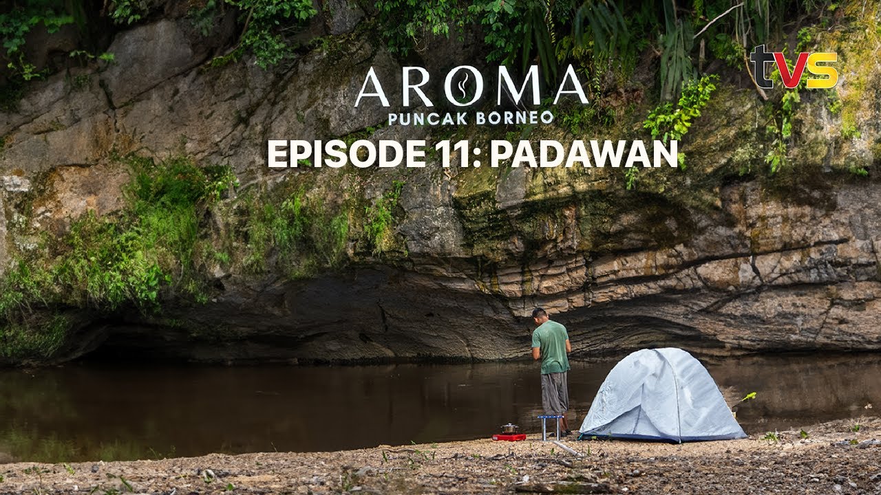 Aroma Puncak Borneo | Ep 11 | TVS Entertainment