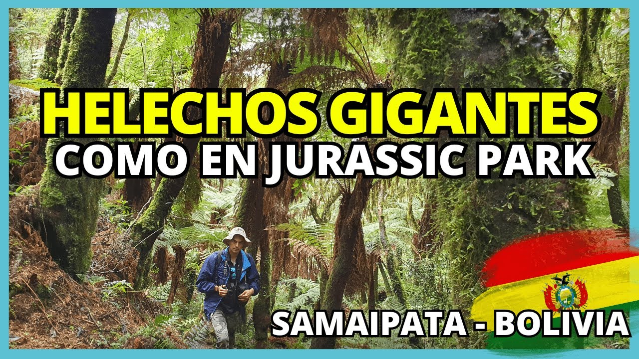 El BOSQUE de HELECHOS GIGANTES en EXTINCIÓN | Nos sentimos en JURASSIC PARK 🦖Santa Cruz, BOLIVIA