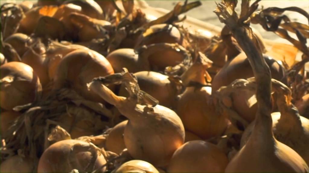 Agri Aware's 'Follow the farmer' - Tillage farm of David Rodgers, Winter 2014 + Country Crest