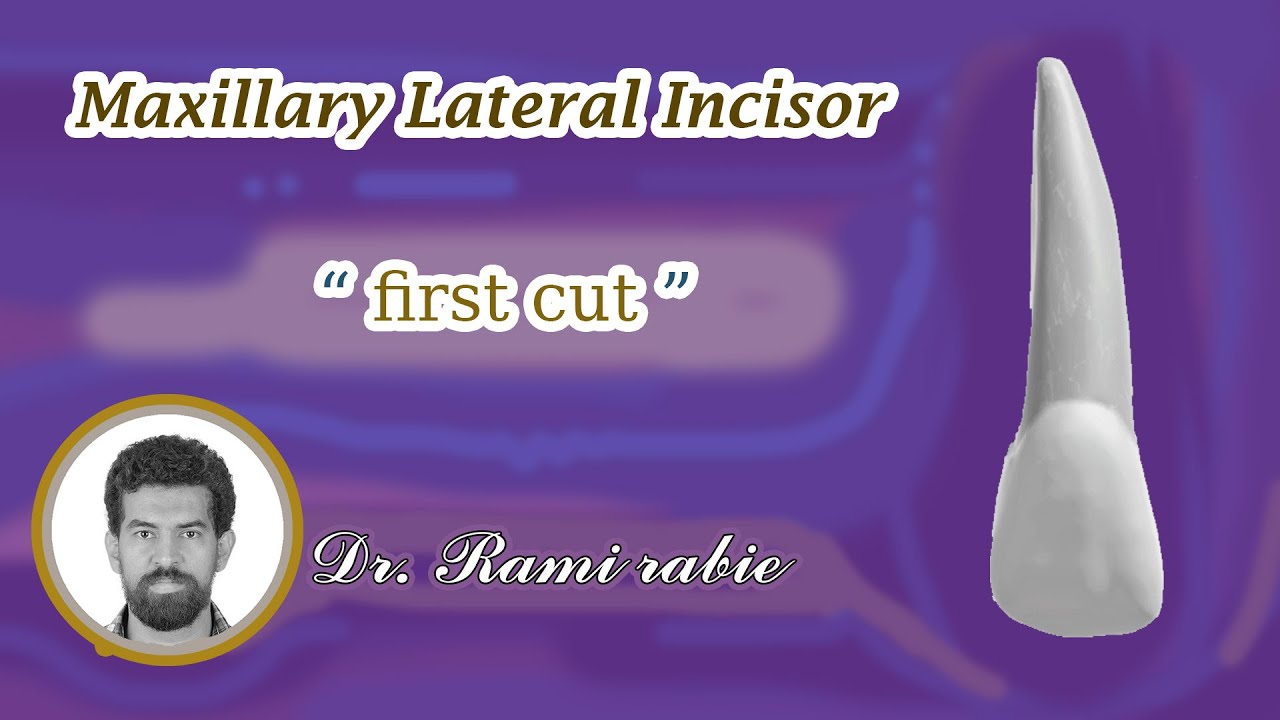 Maxillary lateral incisor carving (part 1) 