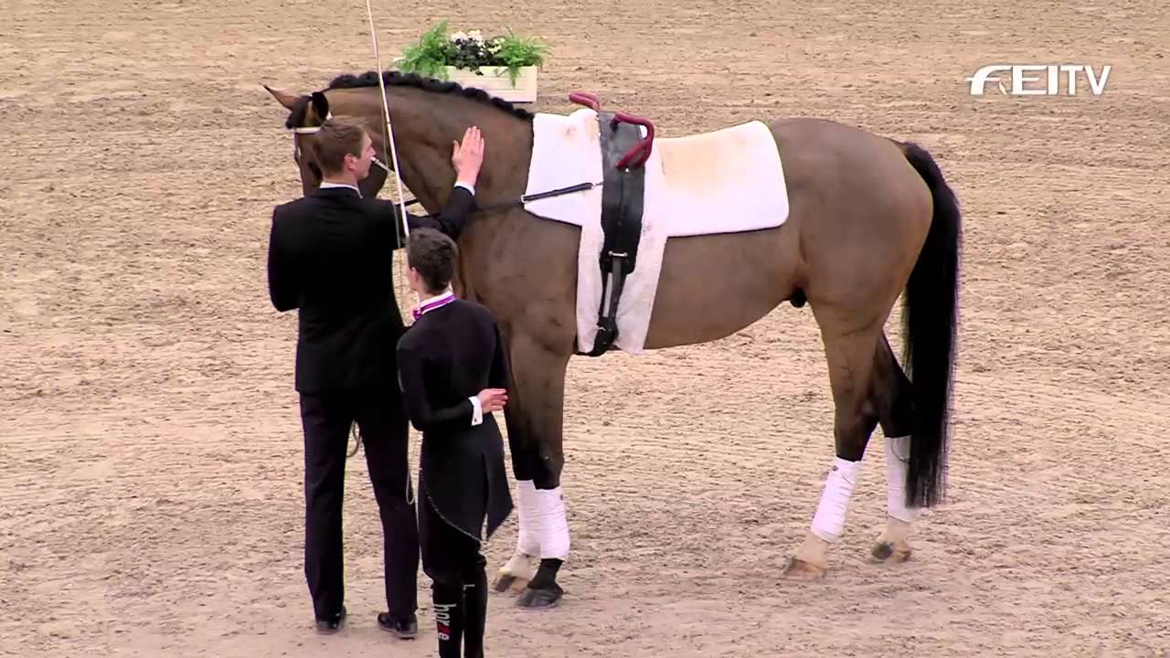 FEI World Cup™ Vaulting 2013/14 Leipzig - Individual Male Top 3