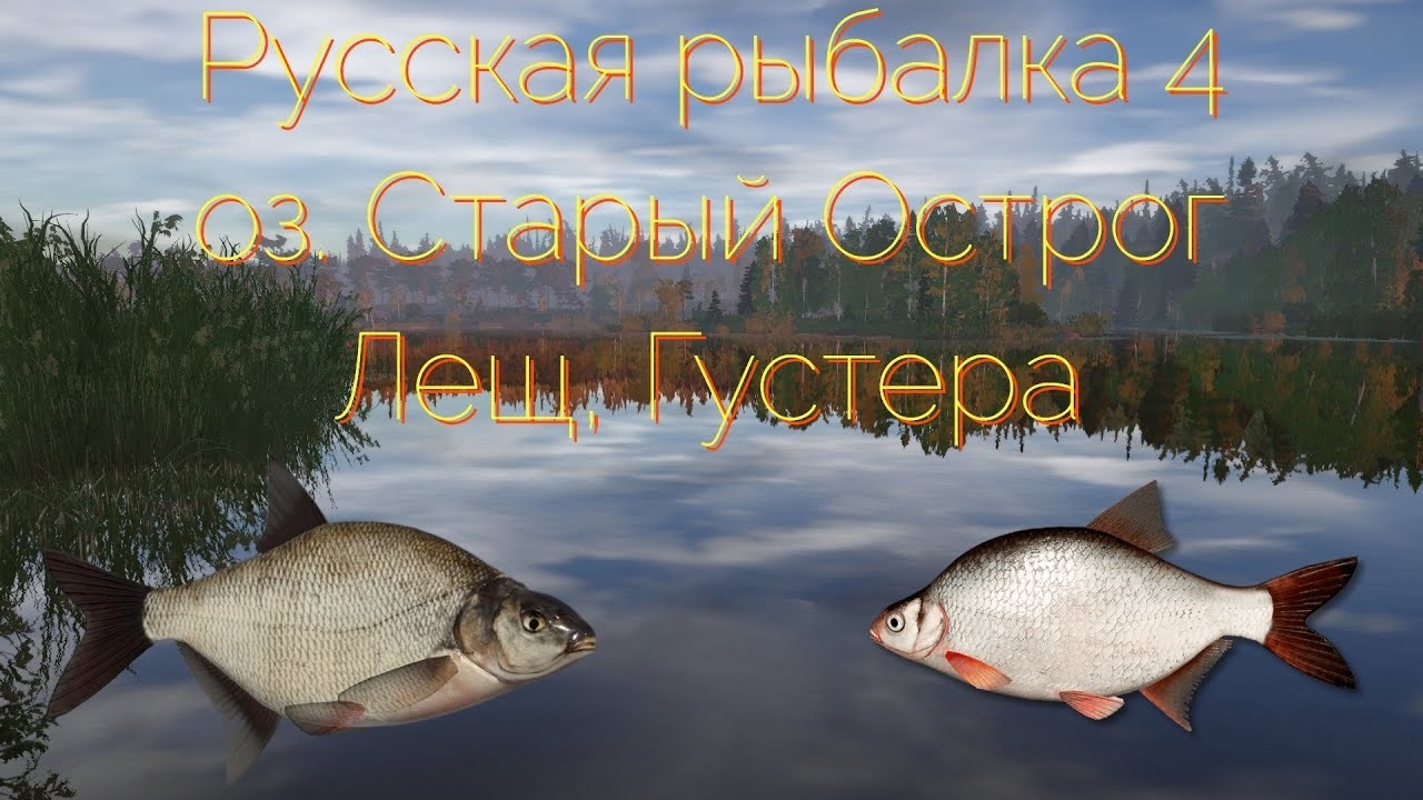 На Остроге поймал Густерку не дотроф! Было печально