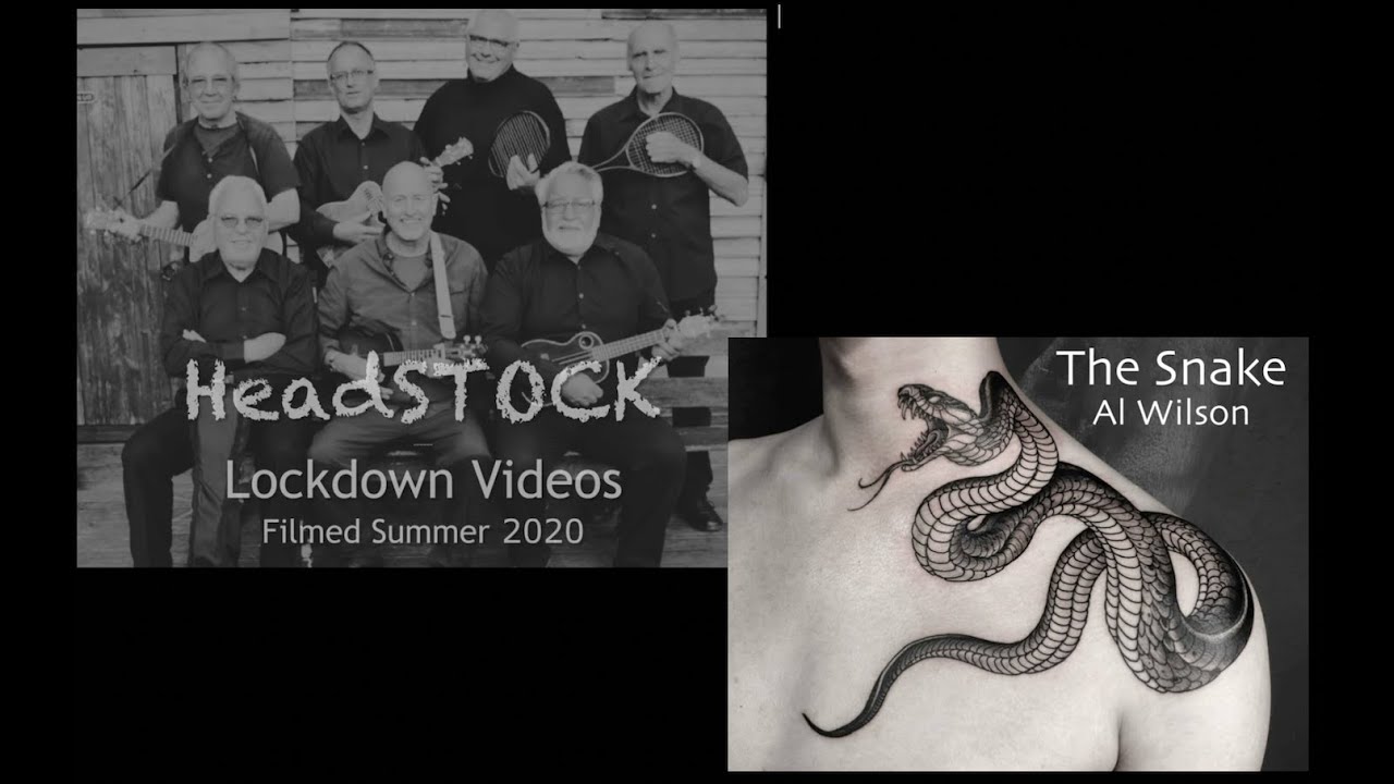 Headstock Lockdown Video - The Snake
