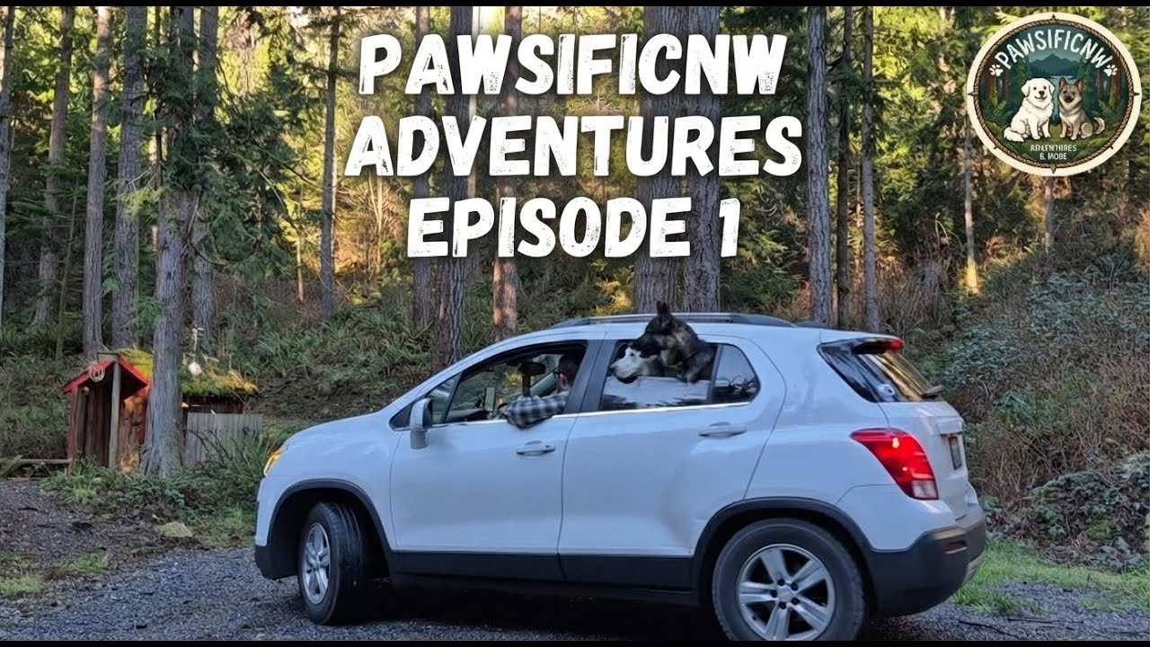 Pawsificnw Camping Adventures Episode 1