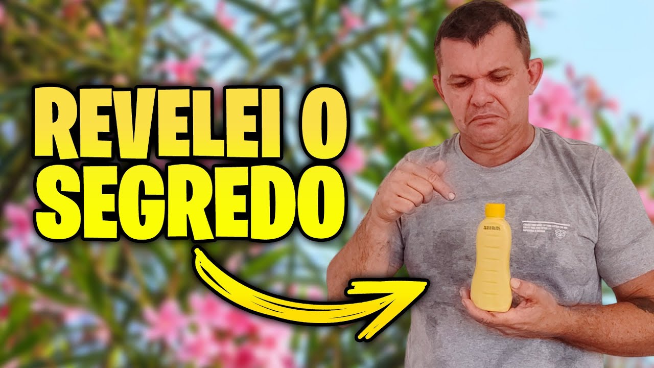 O ingrediente secreto e indispensável para recuperação de ROSA DO DESERTO