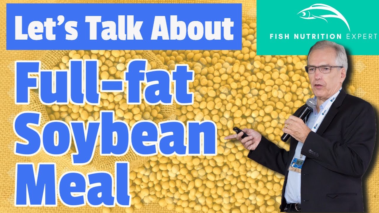 Let’s talk about Full-fat Soybean Meal