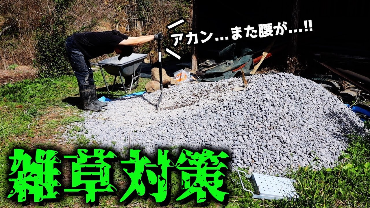 春が来て勢いづく雑草たち...ヤツらは待ってはくれない泣