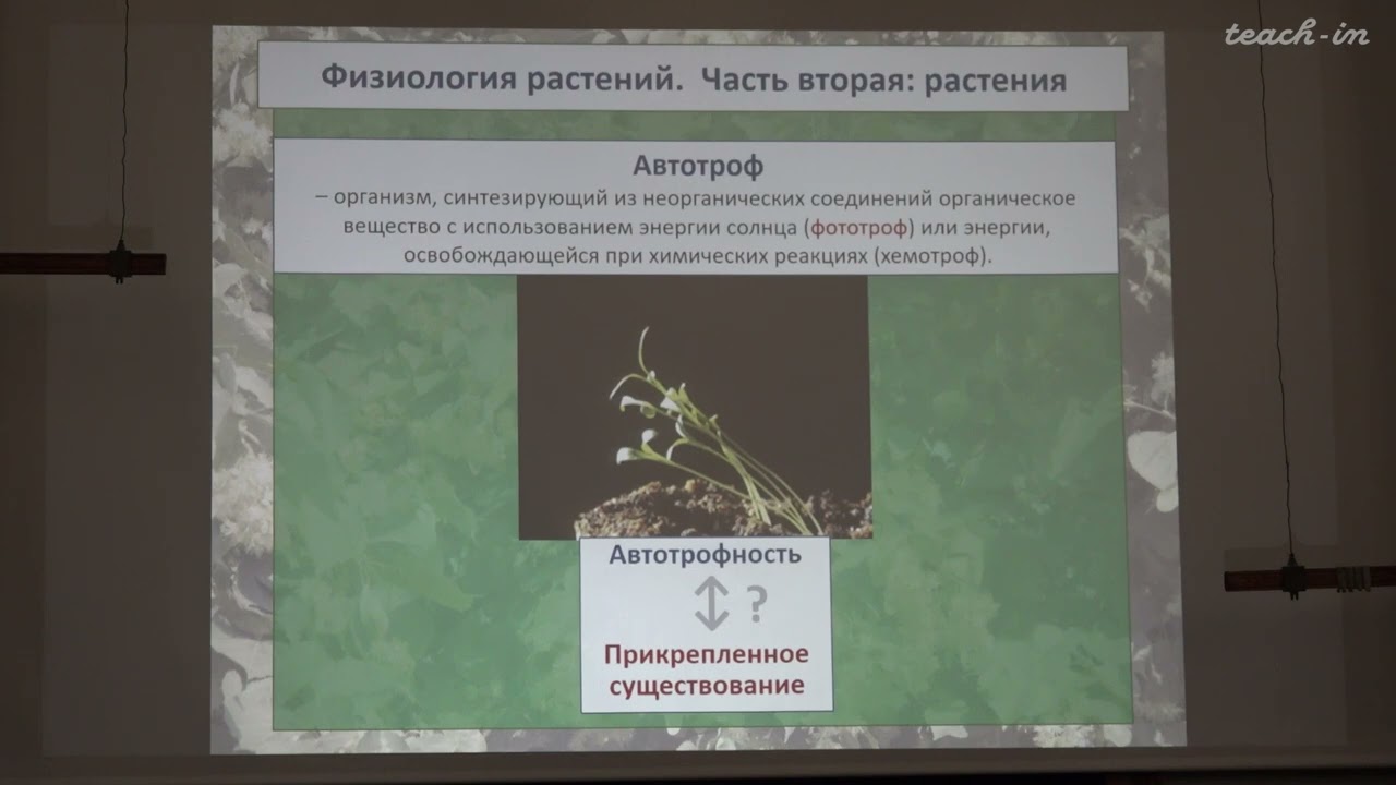 Константинова С.В. - Физиология и биохимия растений - 1. Общие черты растительной и животной клеток