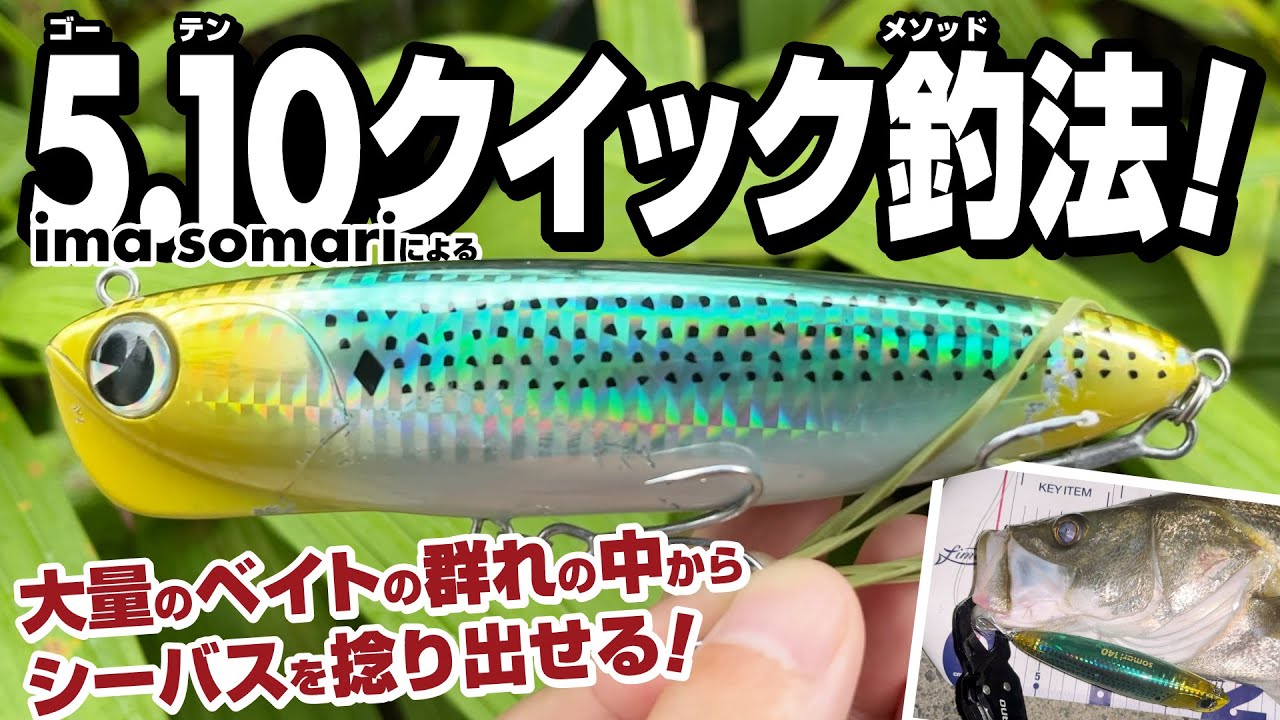 【シーバス】留まり大型イナッコ（スクール）の群れの中からシーバスを捻り出せる！ ima ソマリによる5.10クイック釣法（ゴーテンクイックメソッド）！