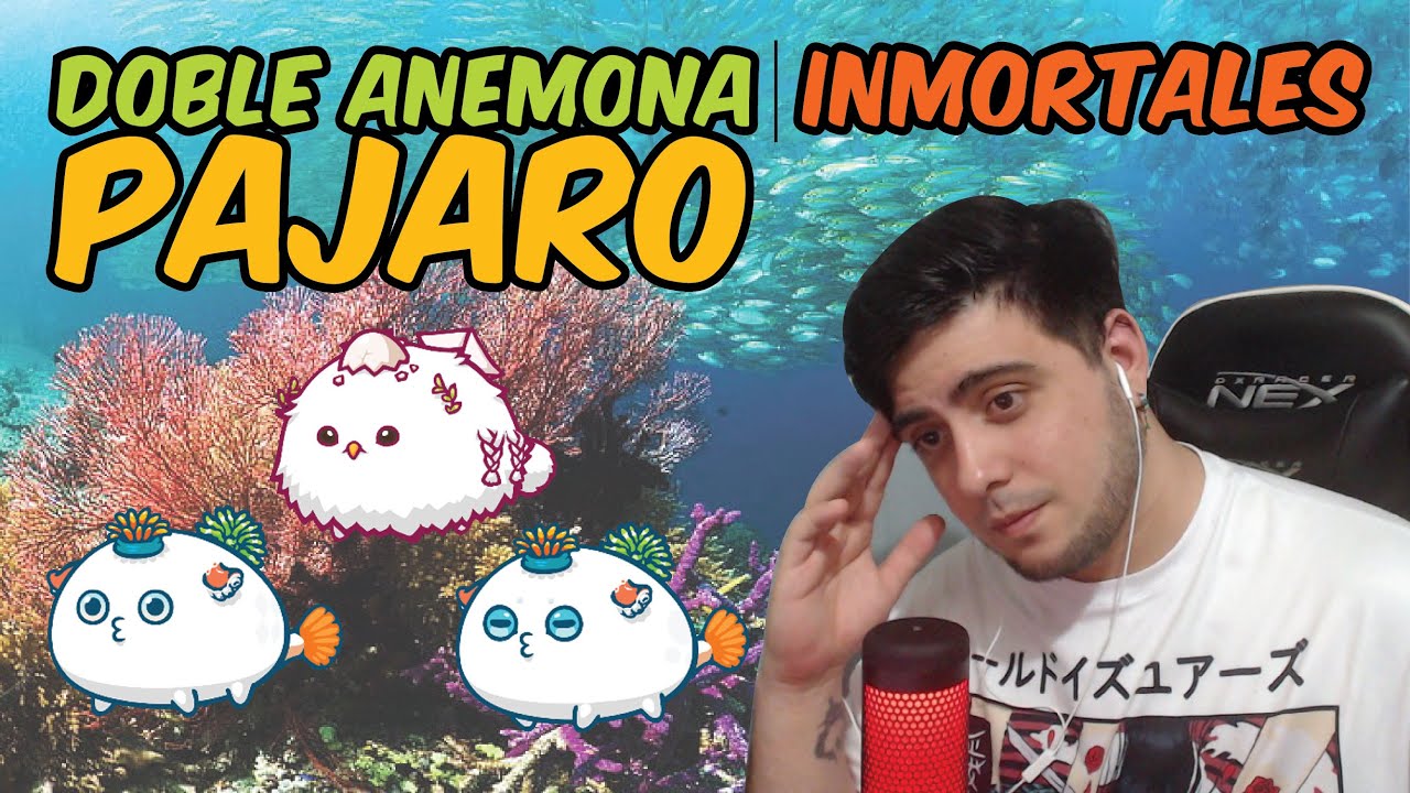 EQUIPOS ECONOMICOS DEL TOP RANKING! #2 | DOBLE ANEMONA PAJARO | INMORTALES   AXIE INFINITY!