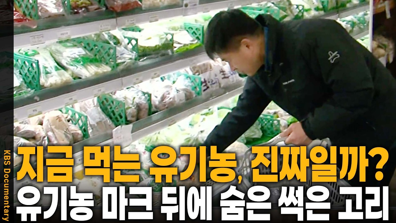 농약 뿌려도 '친환경' 인증? 아직도 계속되는 가짜 유기농 인증 수법 | KBS 파노라마 20140731 방송