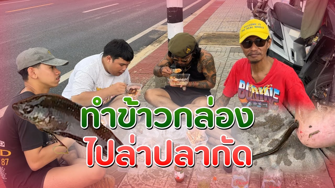 ทำข้าวกล่องไปล่าปลากัด!!! | ก้องทรงเอรับรองว่าซิ่ง
