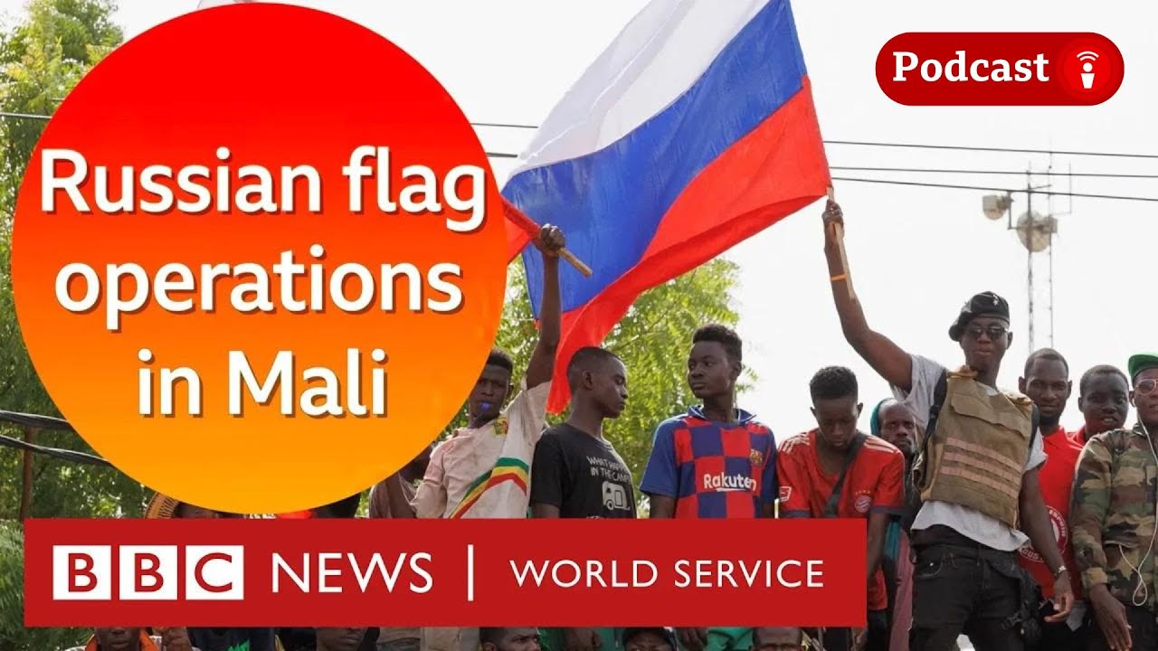 The African influencers amplifying Kremlin propaganda - The Global Jigsaw, BBC World Service