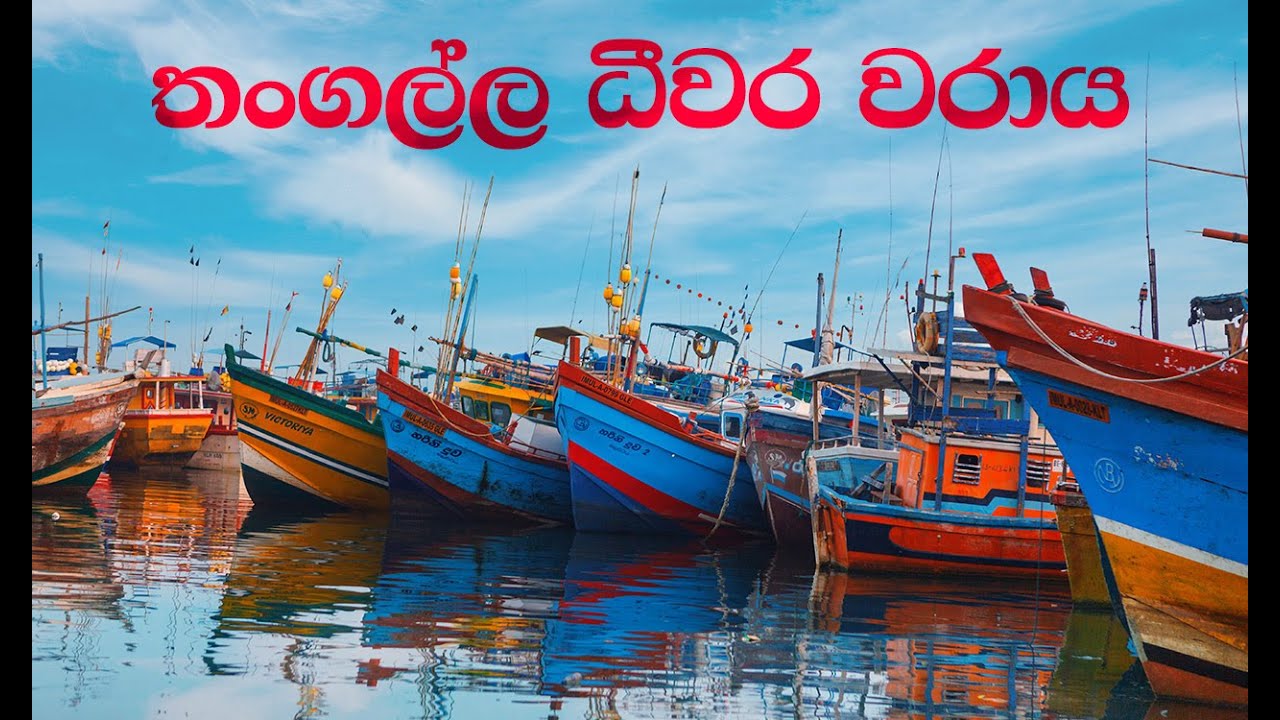 Tangalle Fishing Harbour - තංගල්ල ධීවර වාරාය පිළිබදව ගෙනෙන විශේෂ වාර්ථාමය වැඩ සටහන