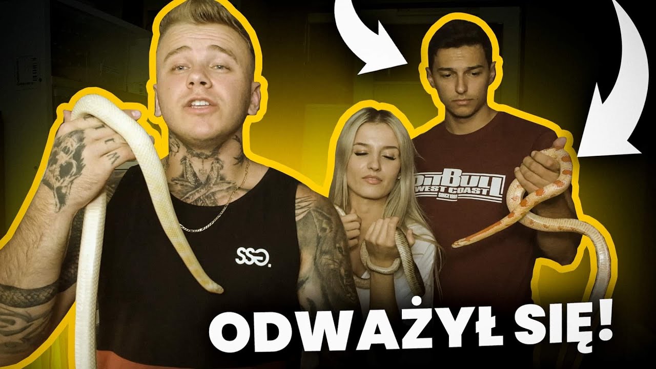 11 NOWYCH WĘŻY - NOWY PROJEKT