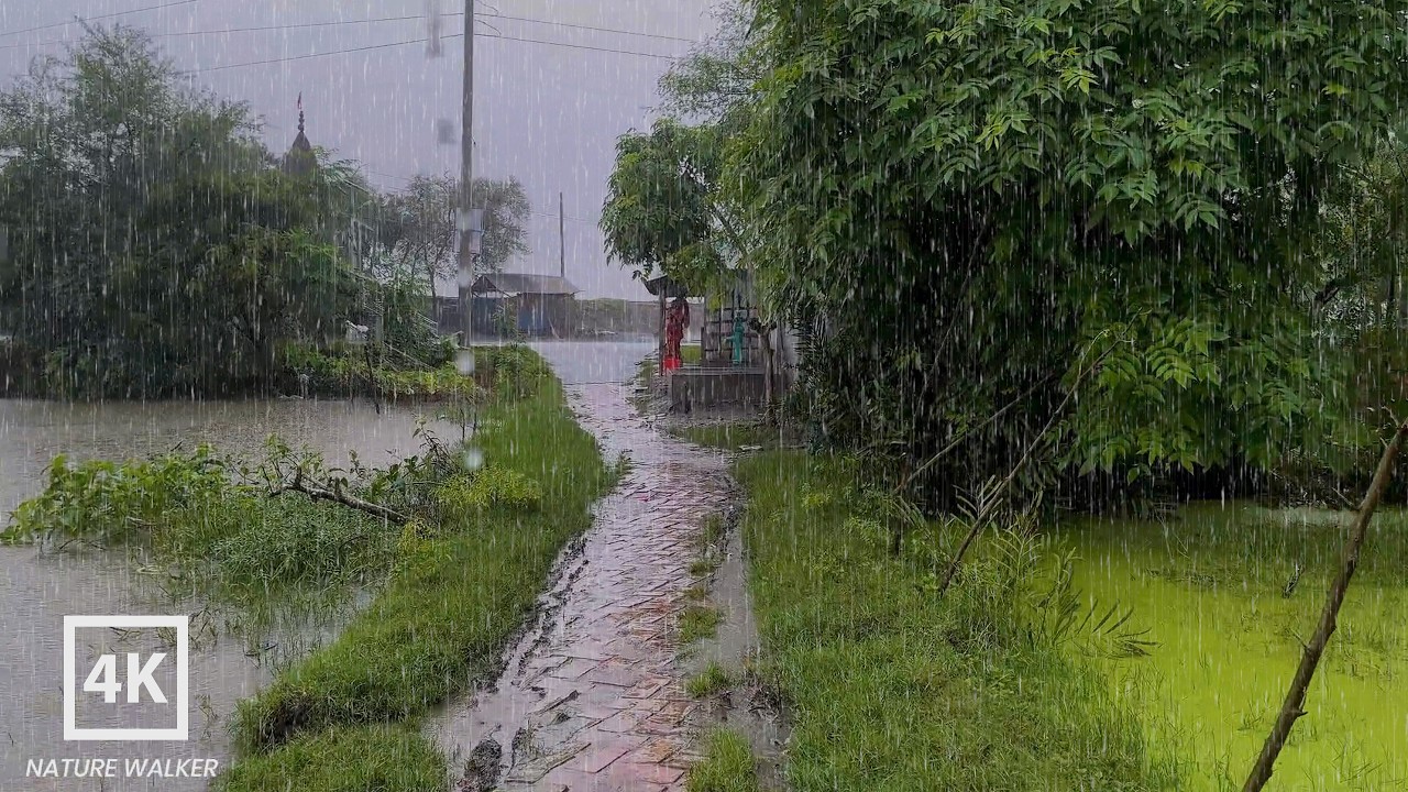 🌧️ Heavy Rain Walk in Peaceful Village | Soothing Rain Sounds for Deep Relaxation | Nature Walker
