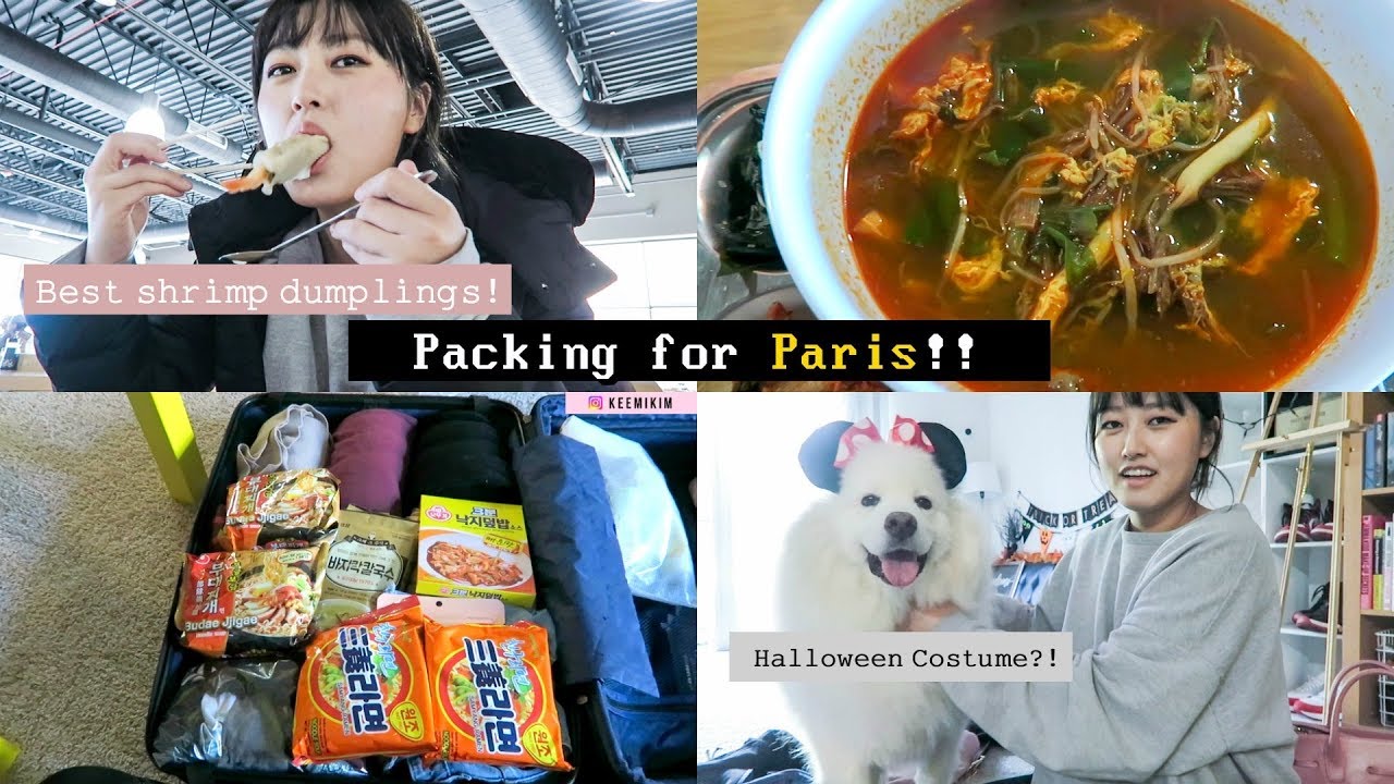 [MukbangVlog] Shrimp Dumplings +Yukgaejang & Packing for Paris Trip!