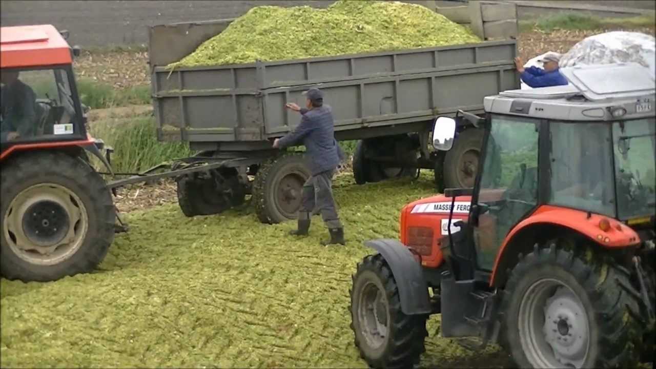 Akcja Kukurydzy 2011 Zetor 5340 , 7340 , New Holland , Massey Ferguson