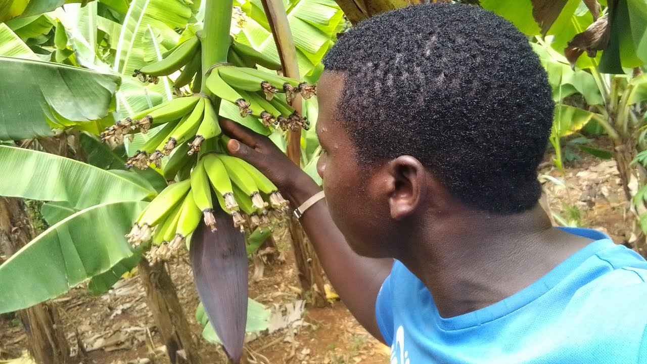 I DIDN'T EXPECTED THIS 😱😱