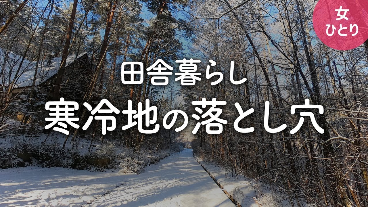 【田舎暮らし】寒冷地の落とし穴 | 真冬の長野で1ヶ月移住体験 2020.11-2021.01
