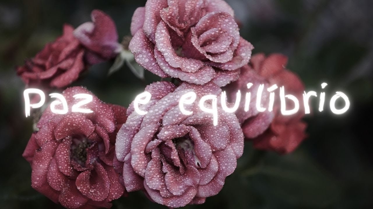 M&uacute;sica em piano para momentos de paz, equil&iacute;brio e bem estar