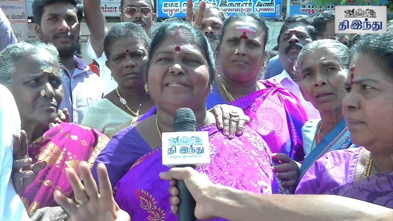 Jayalalitha Birthday | ADMK Cadres Celebration | Tamil The Hindu