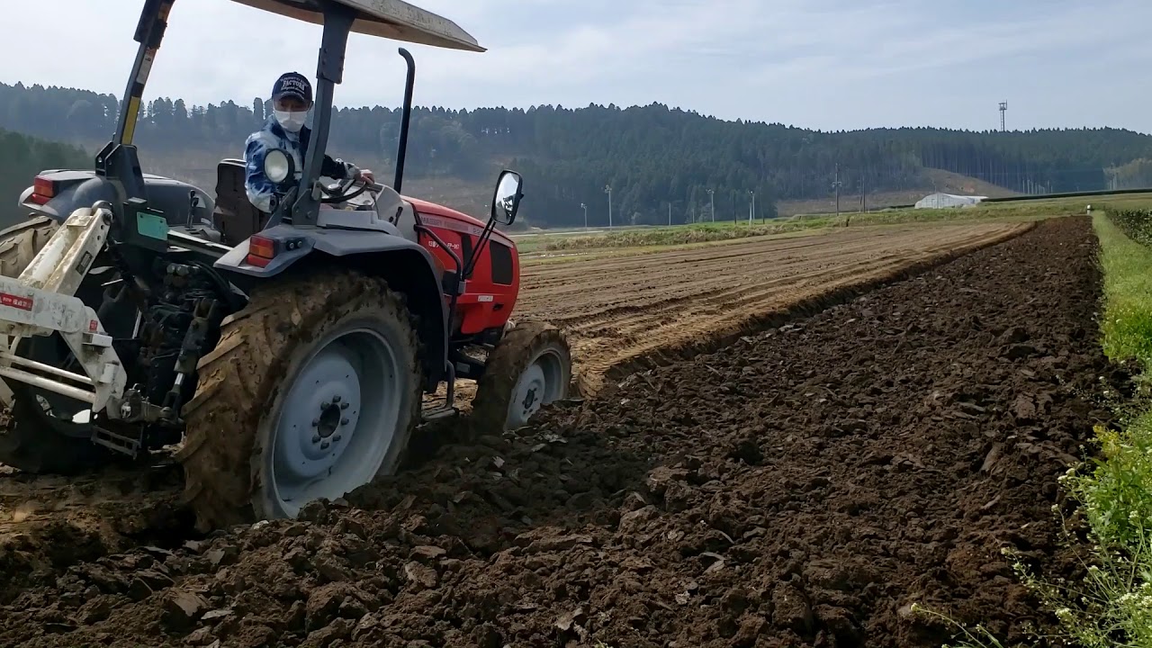【山豐農園】プラウ曳き