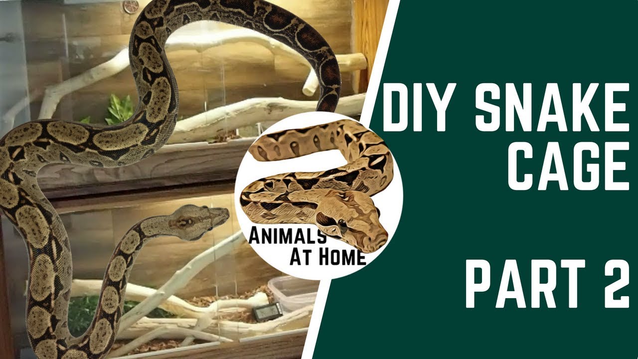 DIY Snake Cage: Part 2
