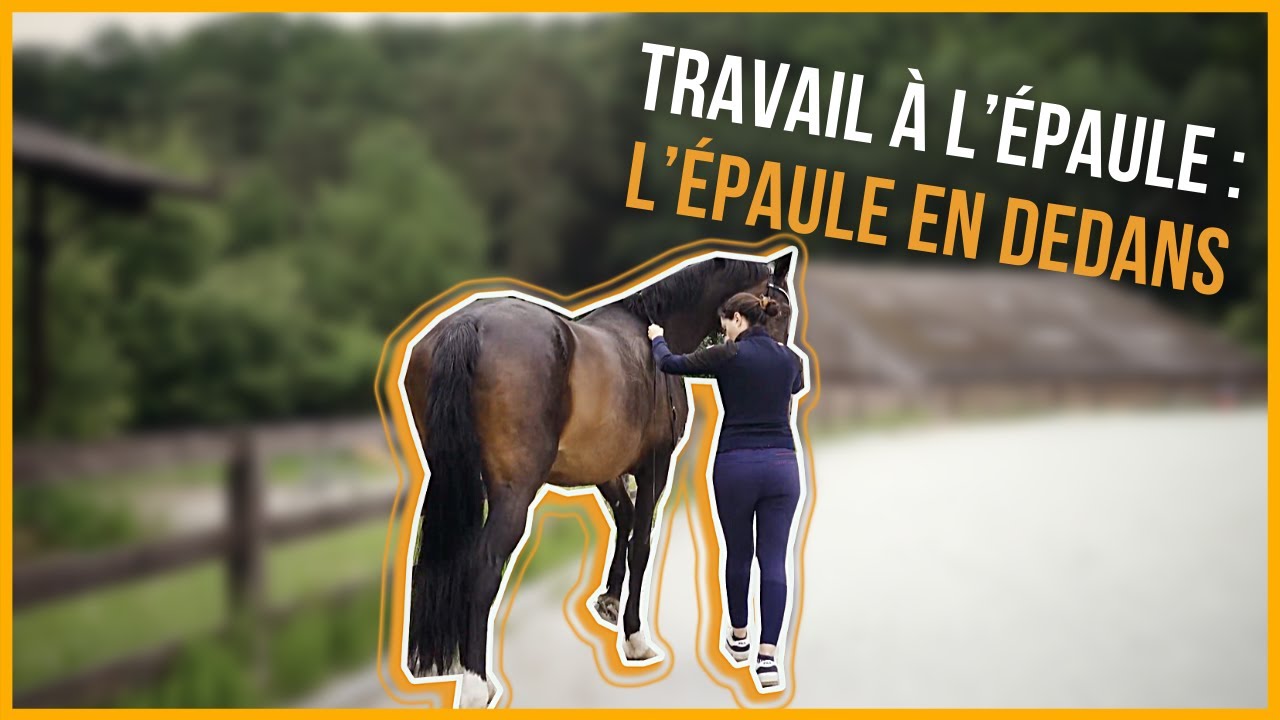 Apprendre l'épaule en dedans à son cheval - à pied