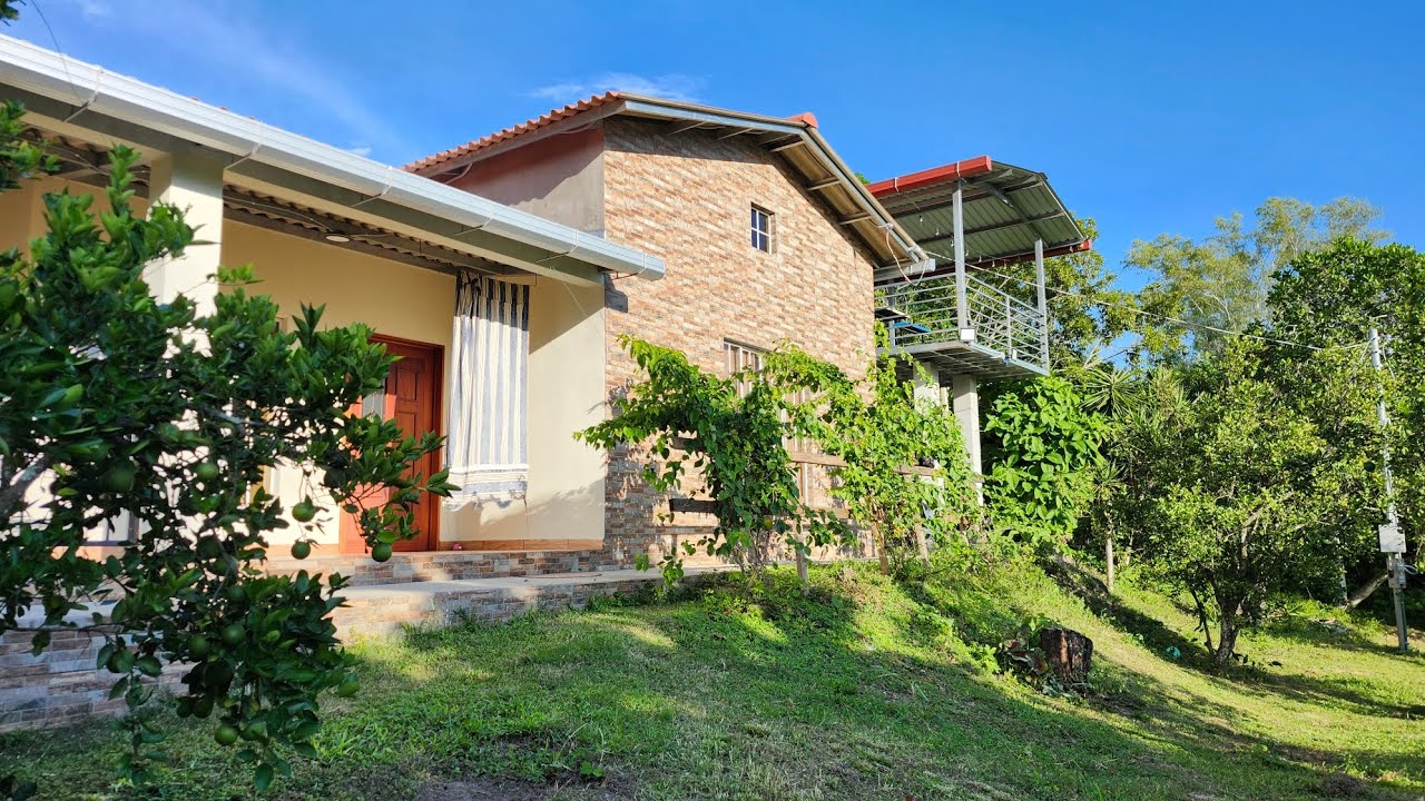 6 años de muchos esfuerzo USA #usa #elsalvador #viralvideo #viralshort #nature #finance