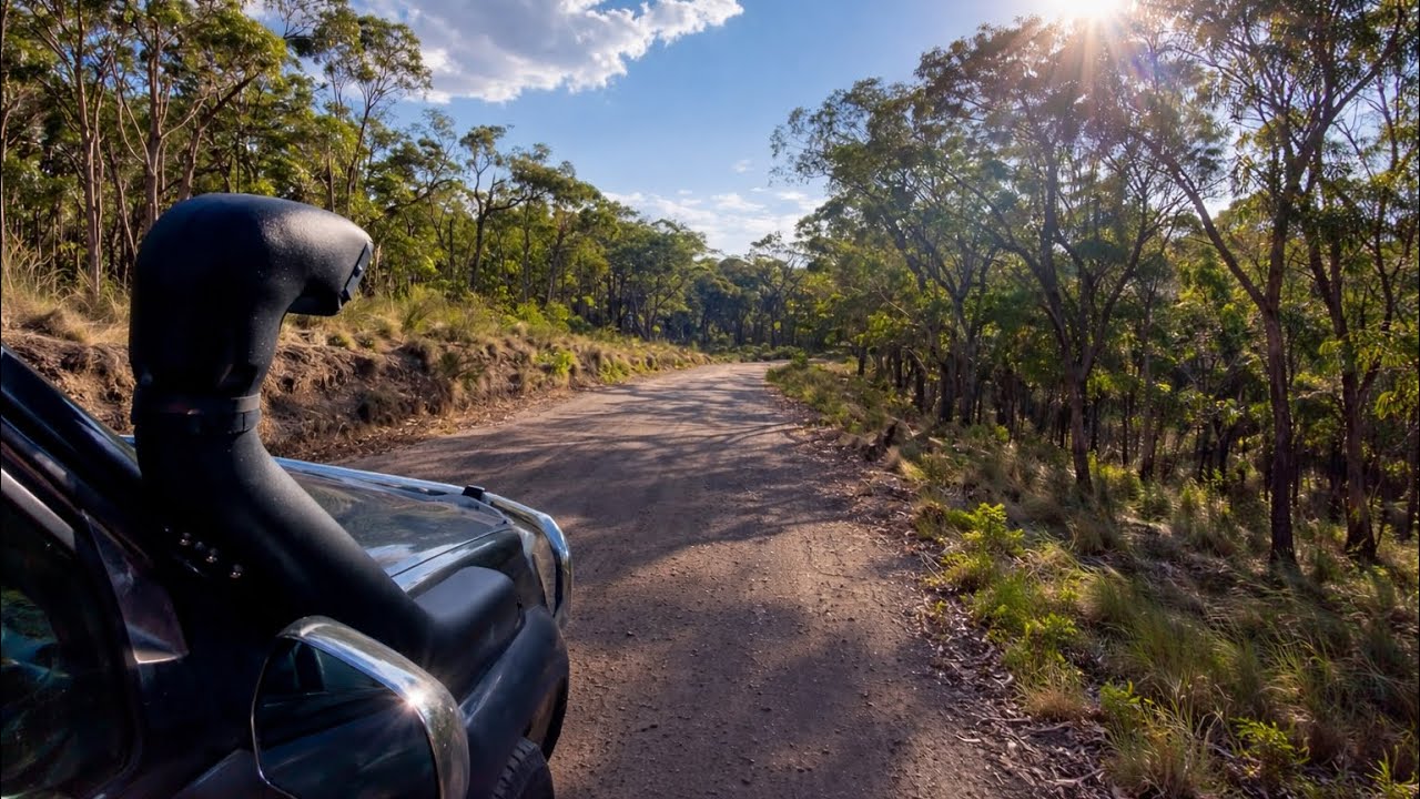 Toyota 4x4 and kangaroos