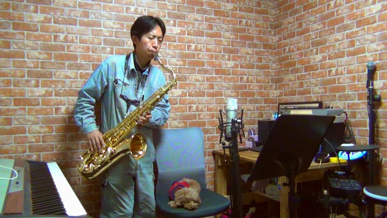 My Neighbour Totoro - Path of The Wind - Tenor Saxophone Cover