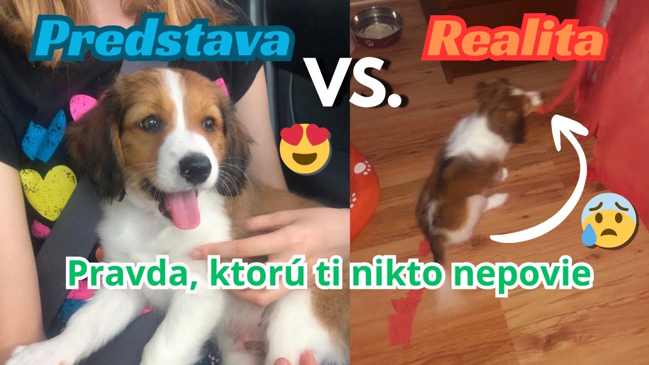&Scaron;teniatko: Predstava vs. Realita | Pravda, ktor&uacute; ti nikto nepovie